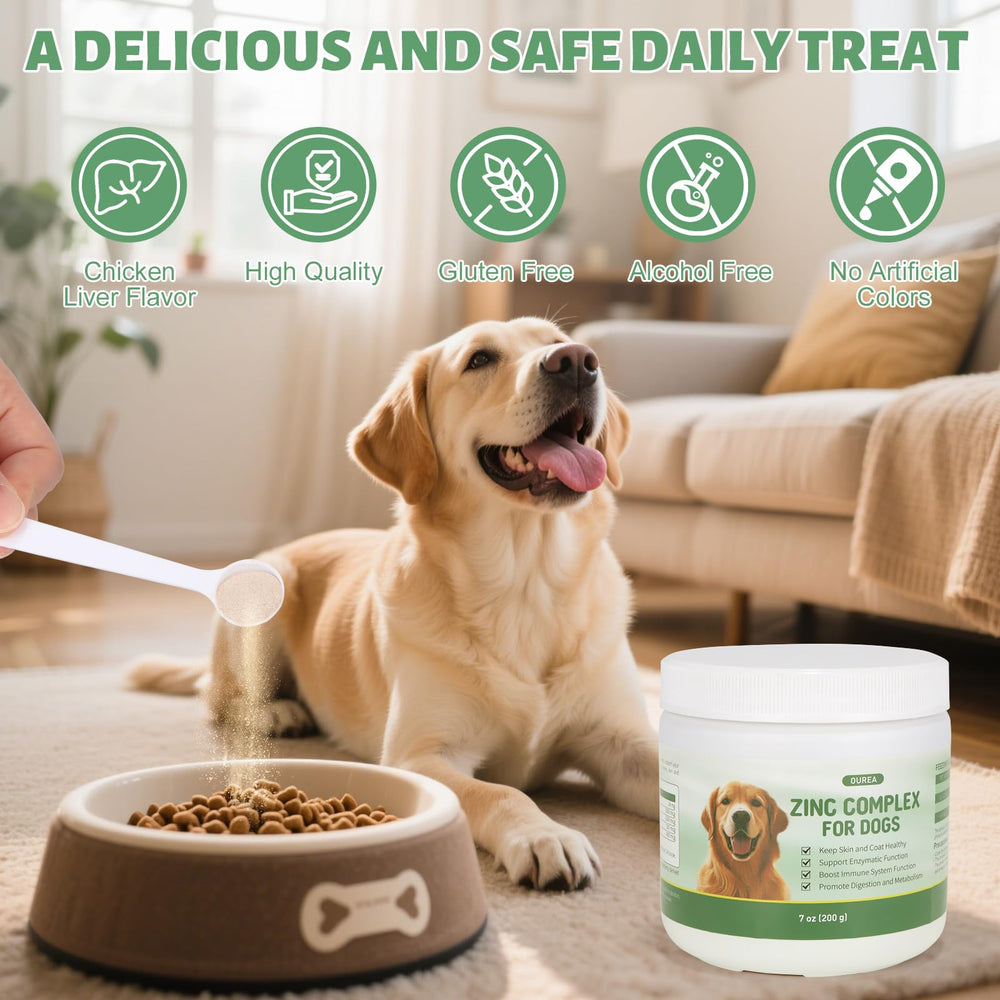 Illustration of digestion and nutrient absorption support in dogs