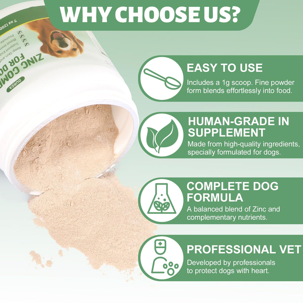 Dog with healthy skin and coat representing skin & coat health