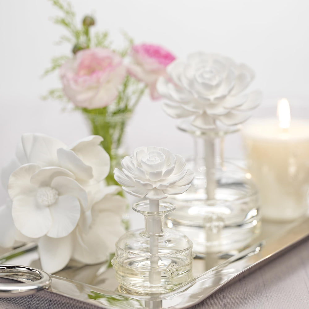 Material detail: porcelain body and glass container