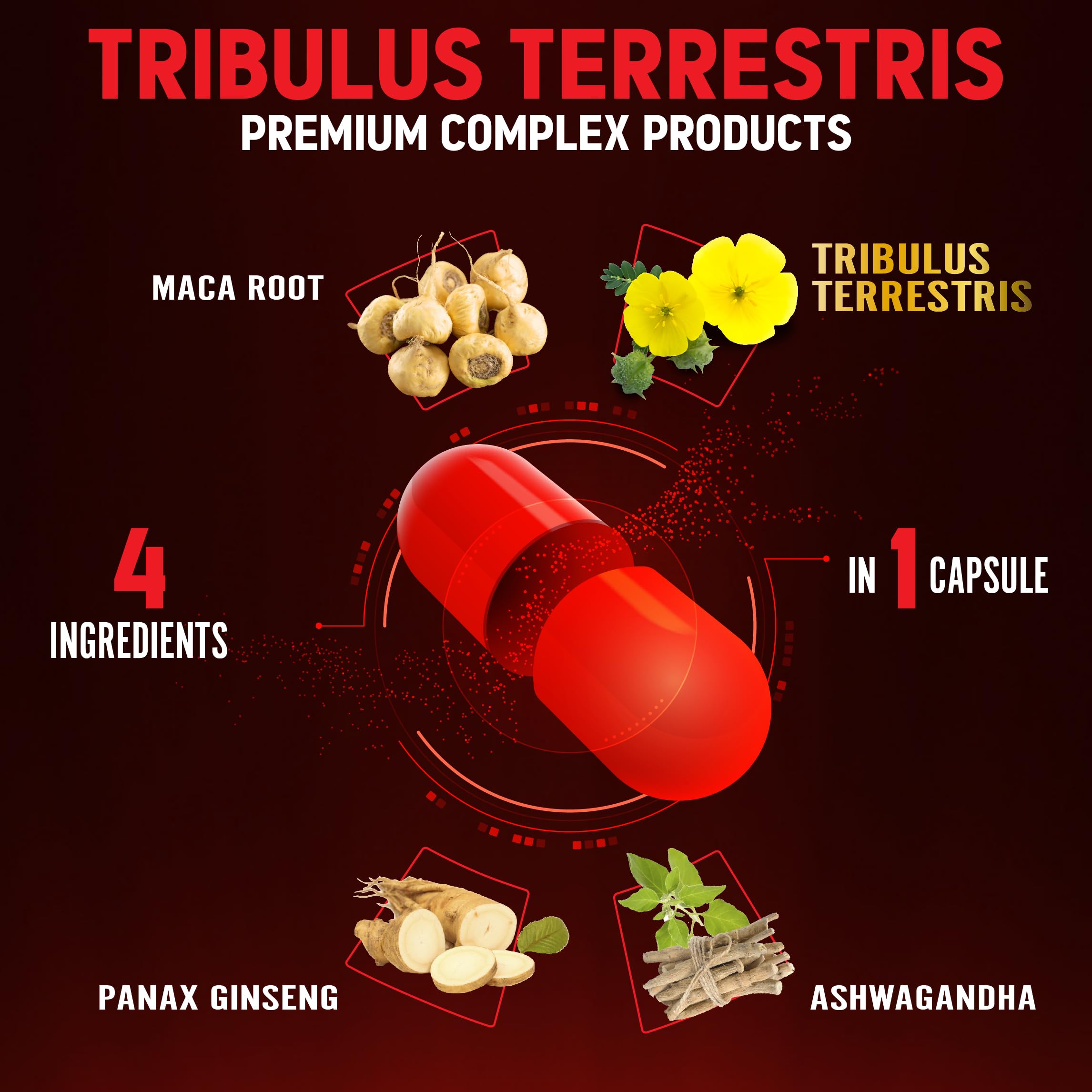 Illustration of Tribulus Terrestris, Panax Ginseng, Ashwagandha and Maca