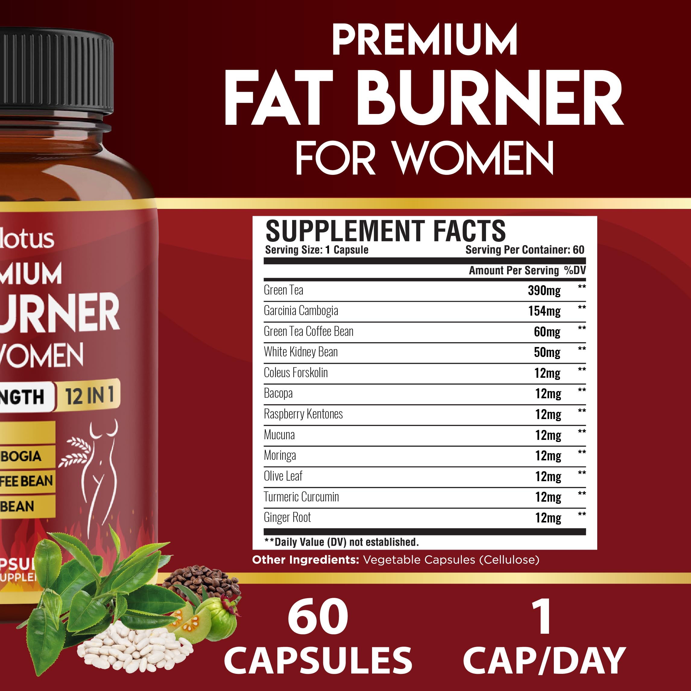 Garcinia Cambogia, Green Tea Extract, Green Coffee Bean ingredients