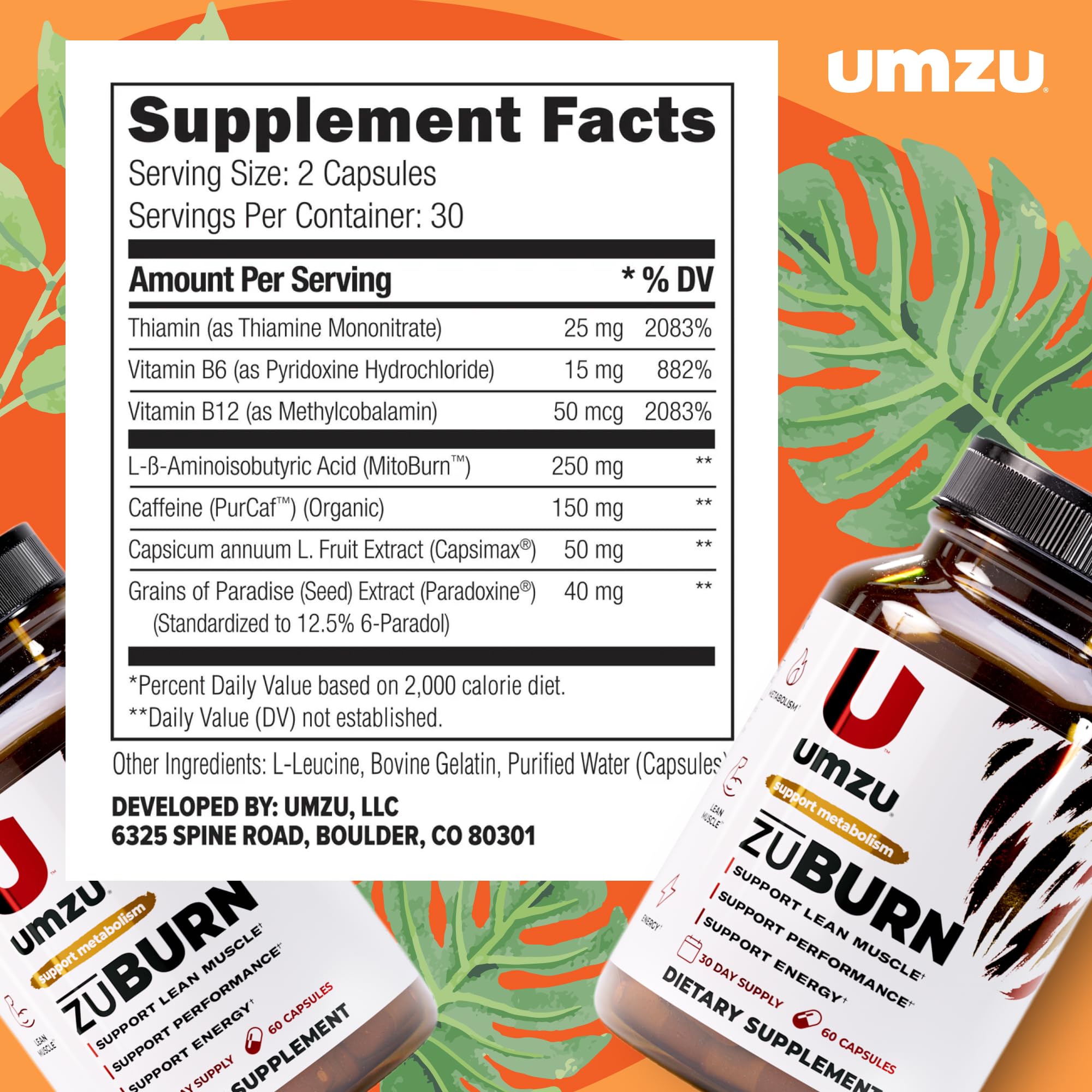 Capsimax ingredient illustration for ZuBurn
