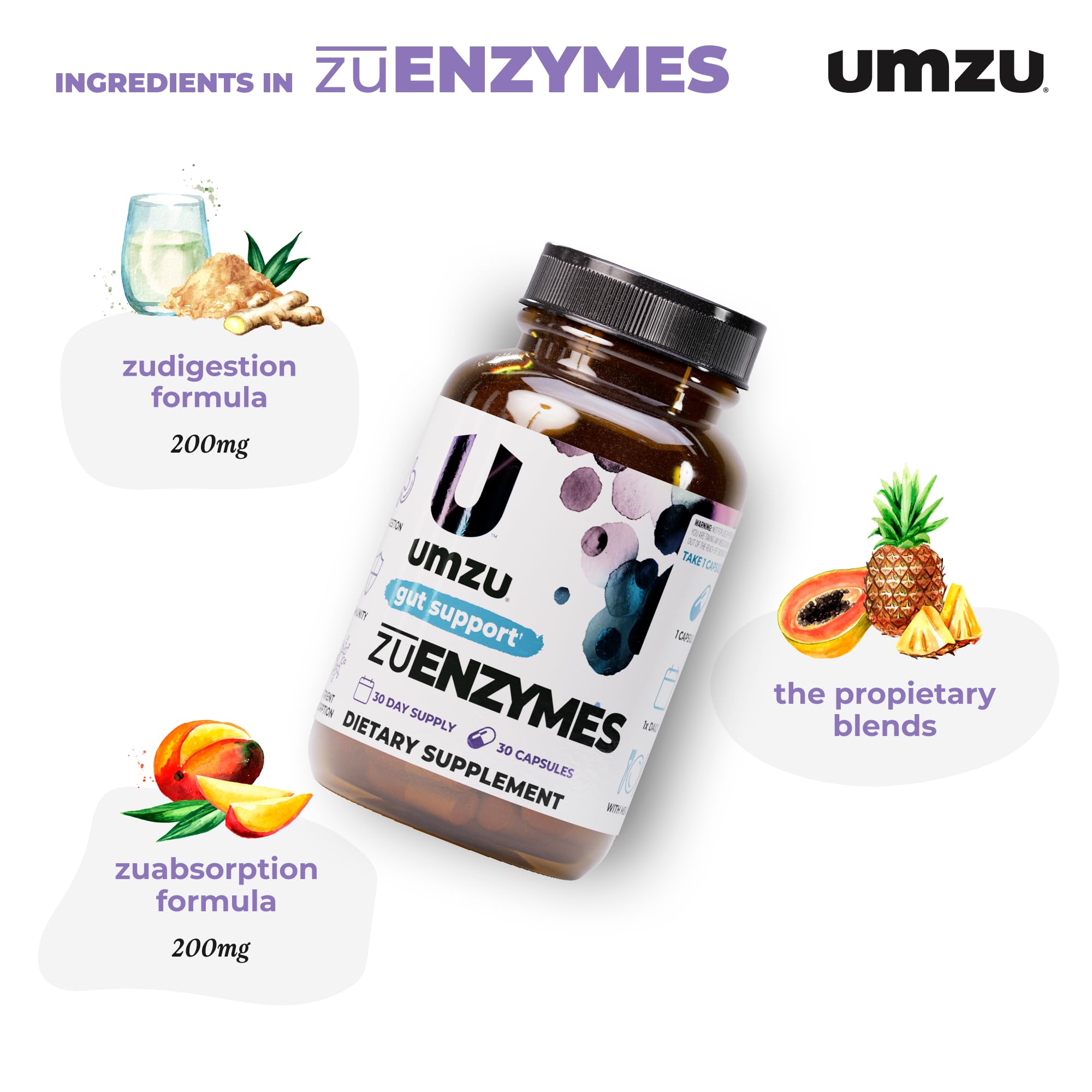 Graphic illustration of 21 digestive enzymes