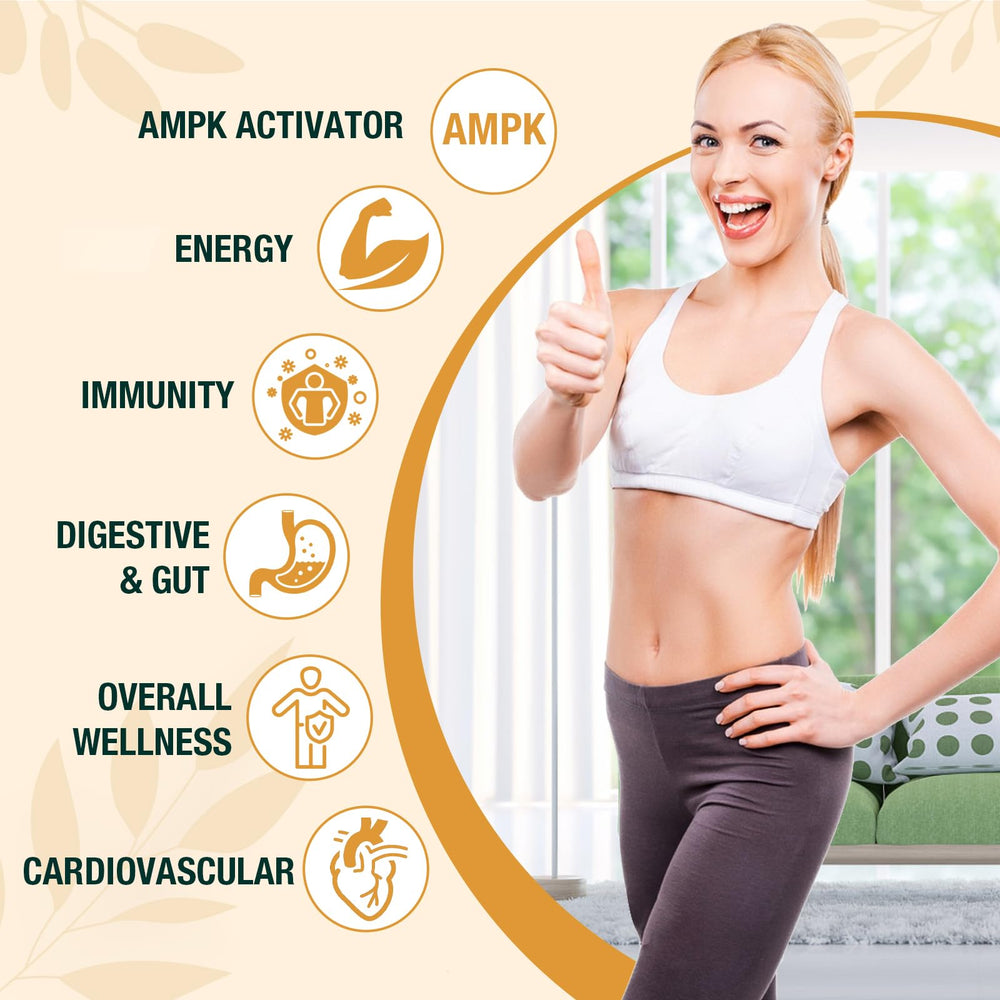 Zypherionixis berberine drops gut-friendly design with prebiotics.
