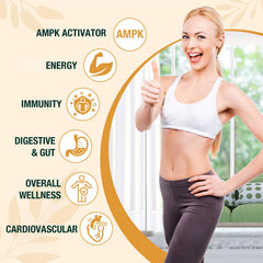 Zypherionixis berberine drops gut-friendly design with prebiotics.